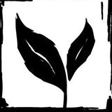 TFeildingLogo.jpg