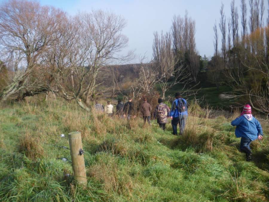 Te Kauru volunteers off to plant at Kaitoki